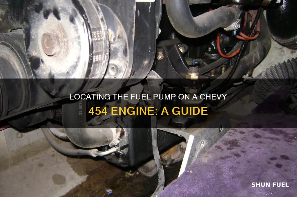 where is the fuel pump on a 454 chevy engine
