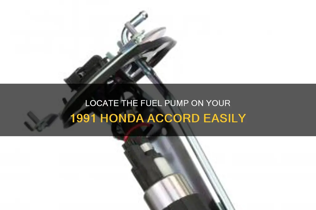 where is the fuel pump on a 91 honda accord