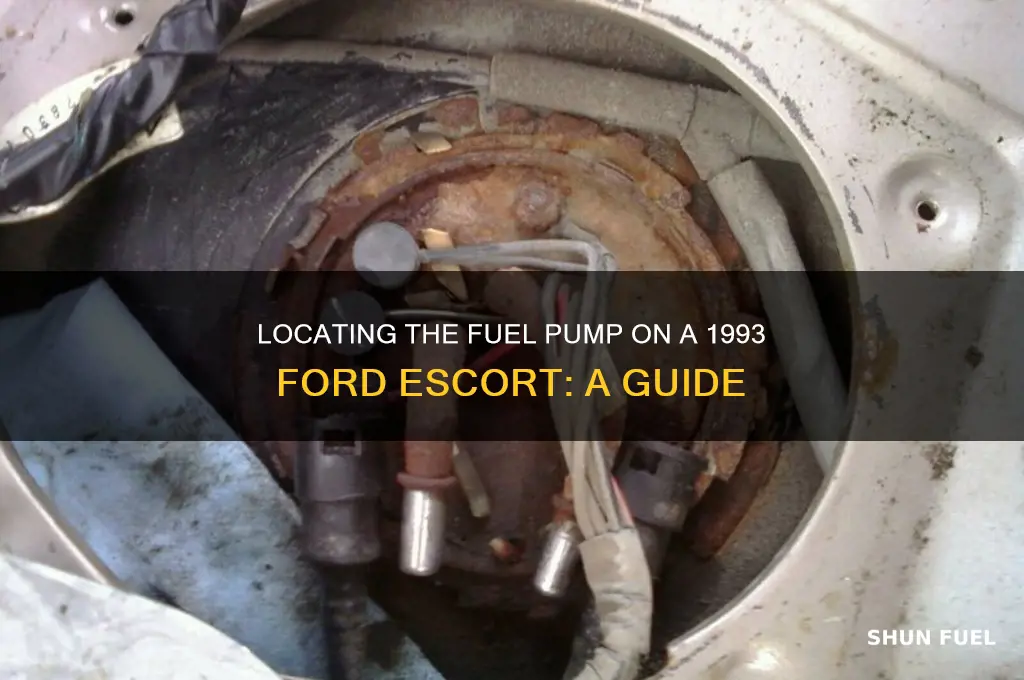 where is the fuel pump on a 93 ford escort