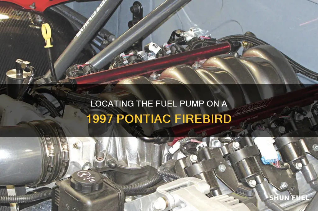 where is the fuel pump on a 97 pontiac firebird