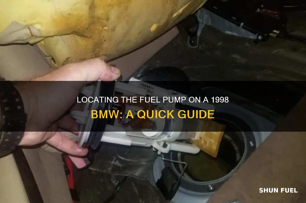 where is the fuel pump on a 98 bmw