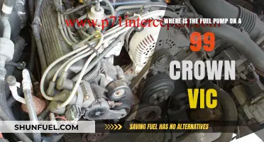 Locating the Fuel Pump on a 1999 Crown Victoria