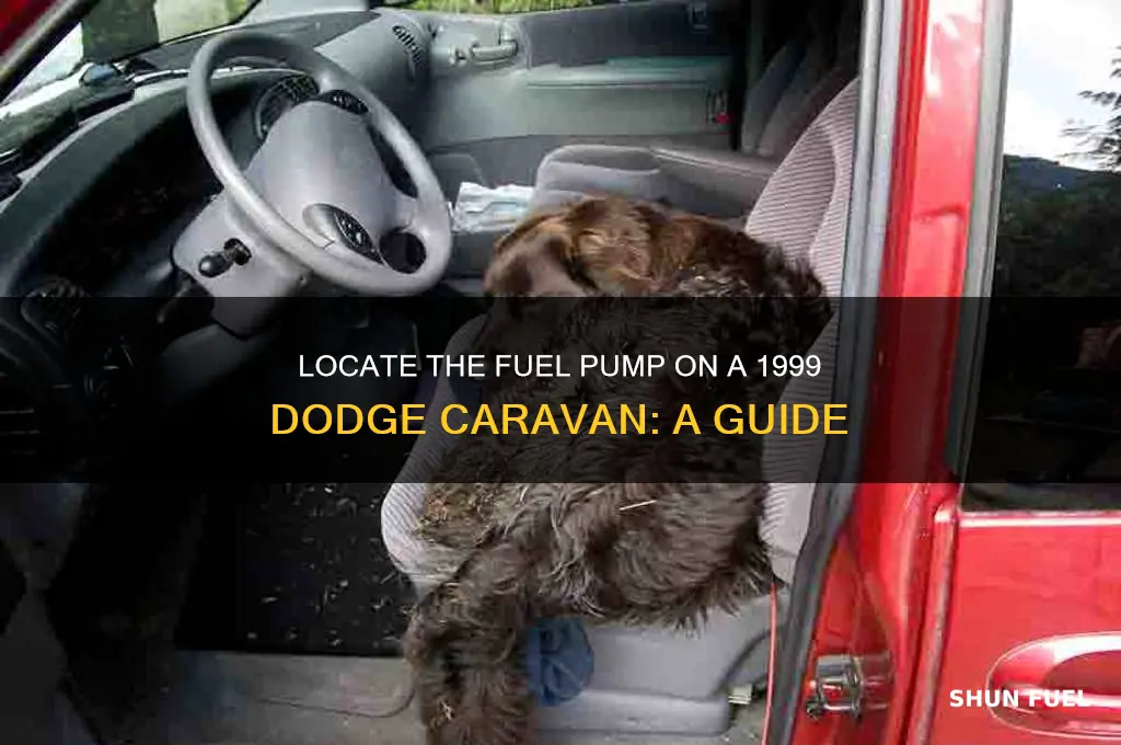 where is the fuel pump on a 99 dodge caravan