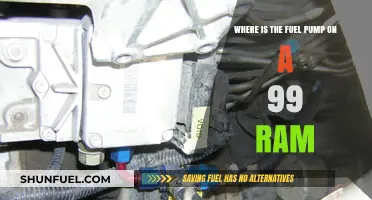 Locate the Fuel Pump on a 1999 Dodge Ram Easily