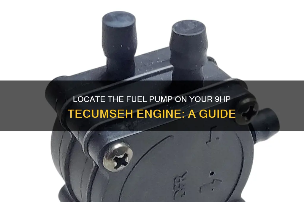 where is the fuel pump on a 9hp tecumseh engine