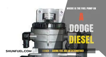 Locating the Fuel Pump in Your Dodge Diesel Engine