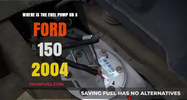 Locate the Fuel Pump in Your 2004 Ford F-150 Easily