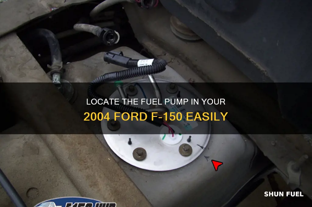 where is the fuel pump on a ford 150 2004