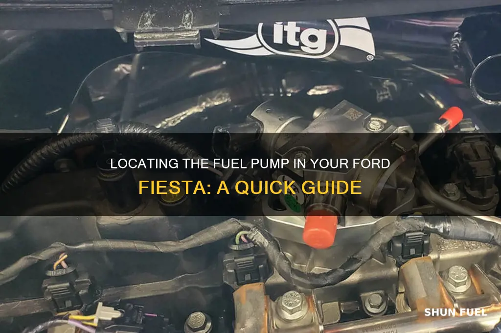 where is the fuel pump on a ford fiesta