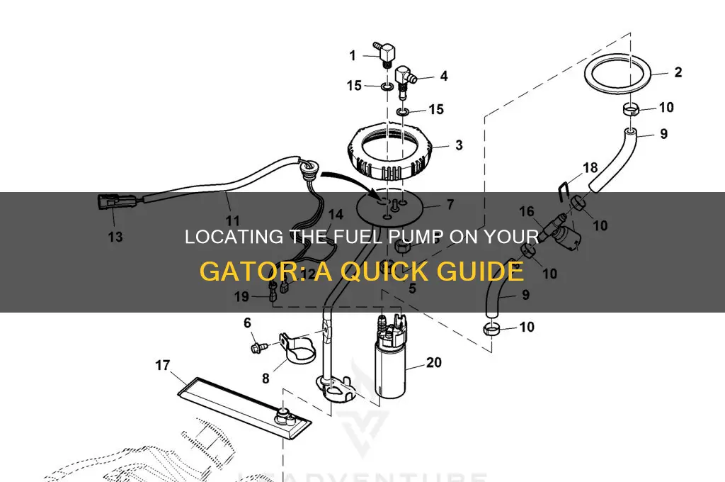 where is the fuel pump on a gator