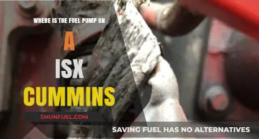 Locating the Fuel Pump on an ISX Cummins Engine: A Guide