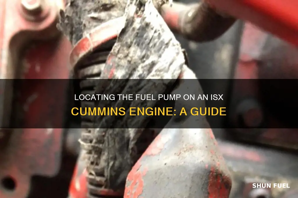 where is the fuel pump on a isx cummins