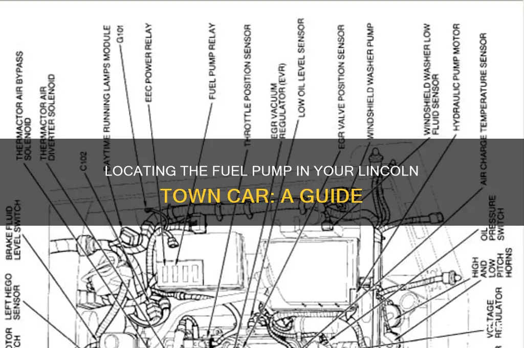 where is the fuel pump on a lincoln town car