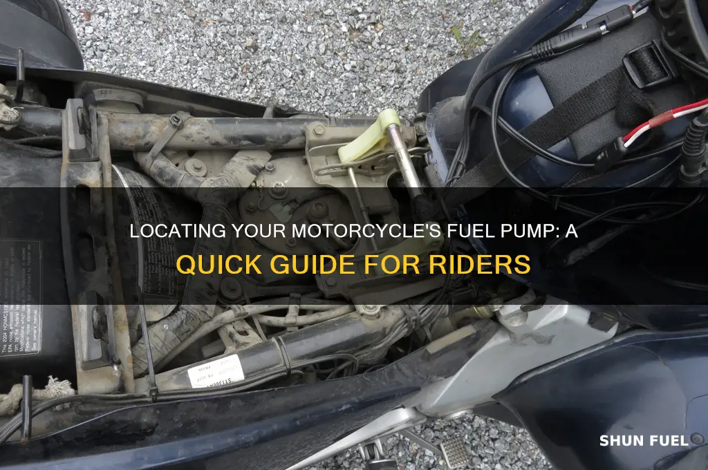 where is the fuel pump on a motorcycle