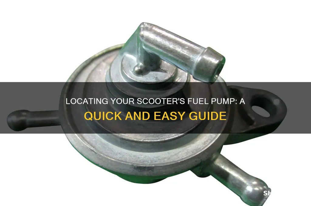 where is the fuel pump on a scooter