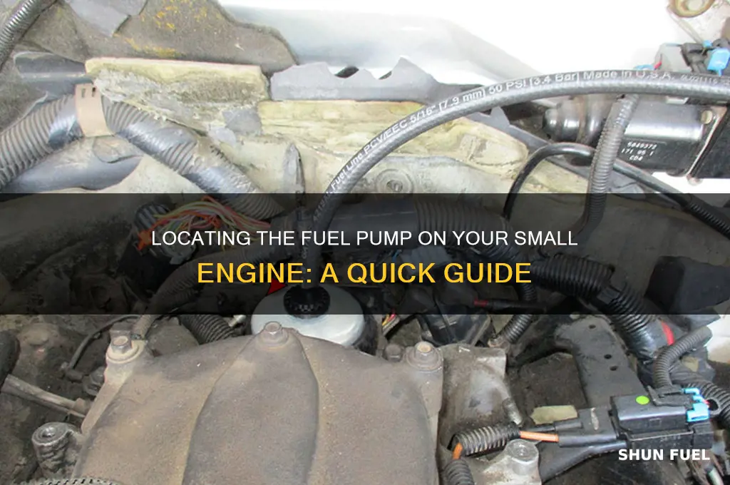 where is the fuel pump on a small engine