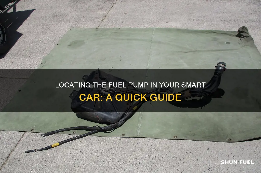where is the fuel pump on a smart car