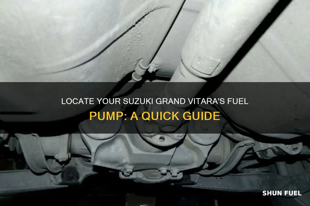 where is the fuel pump on a suzuki grand vitara