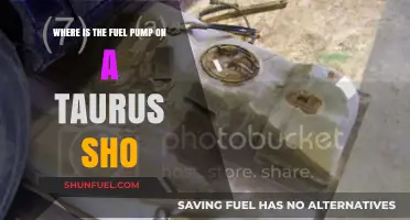 Locating the Fuel Pump on a Ford Taurus SHO: A Guide