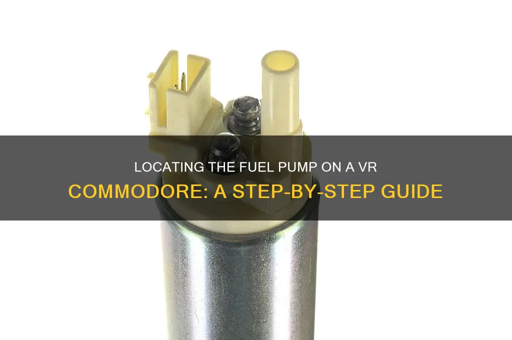 where is the fuel pump on a vr commodore