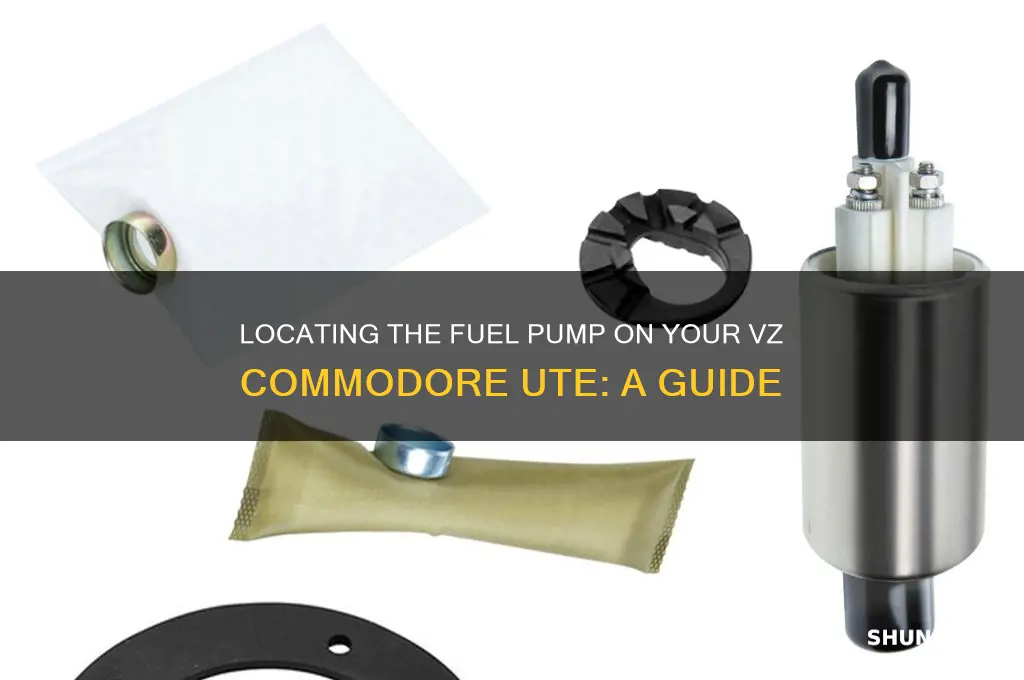 where is the fuel pump on a vz commodore ute