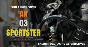 Locating the Fuel Pump on a 2003 Harley Sportster