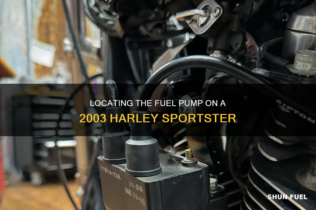 where is the fuel pump on an 03 sportster