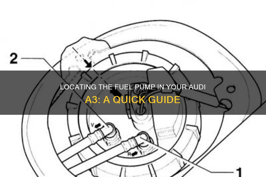 where is the fuel pump on audi a3