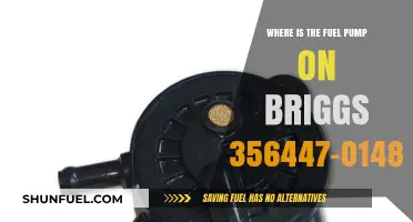 Briggs 356447-0148-E1 Fuel Pump Location Guide