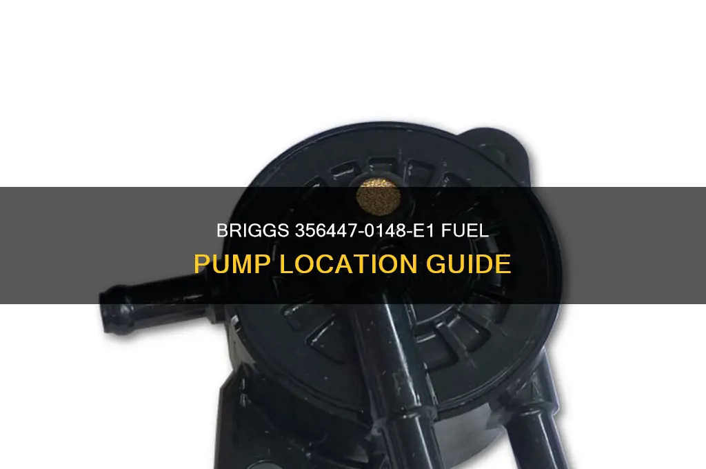 where is the fuel pump on briggs 356447-0148-e1