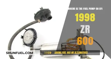 EFI 1998 ZR 600 Fuel Pump Location Guide