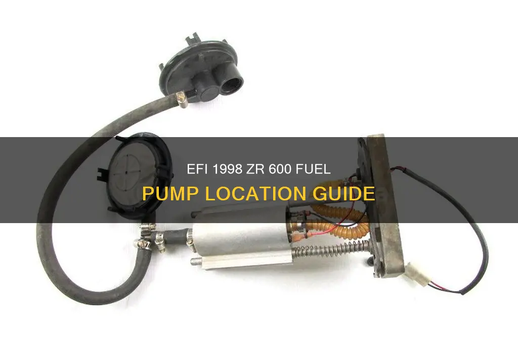 where is the fuel pump on efi 1998 zr 600