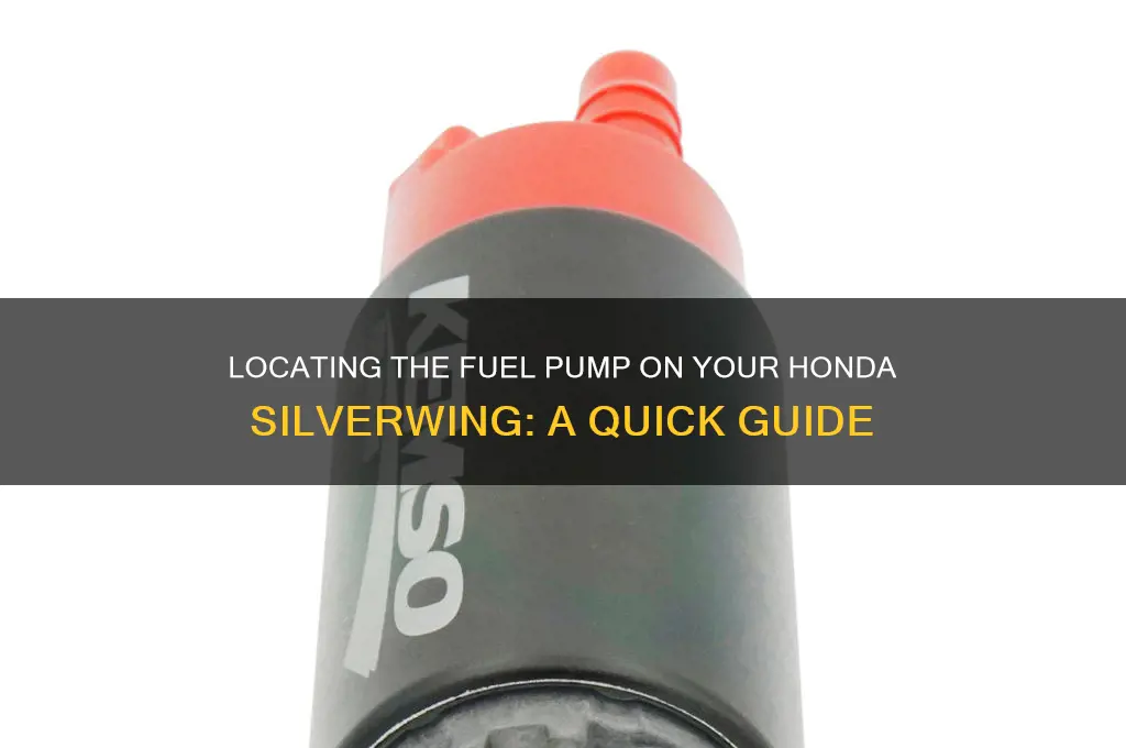where is the fuel pump on hoda silverwing