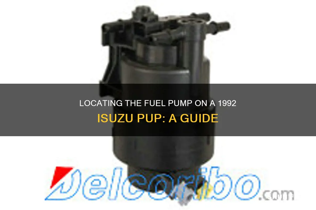 where is the fuel pump on my 92 isuzu pup