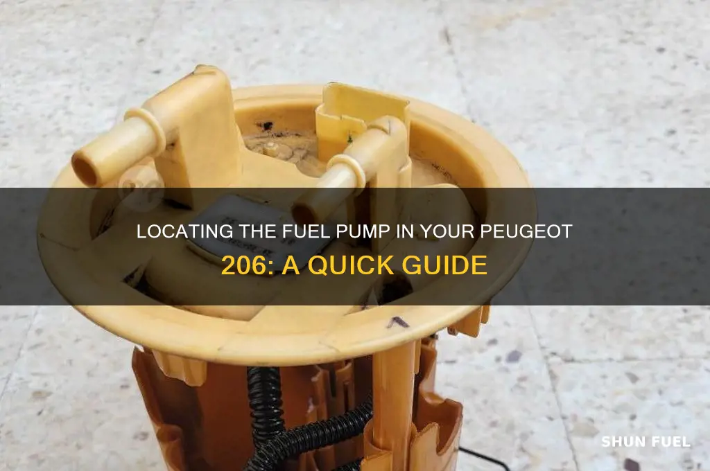 where is the fuel pump on peugeot 206