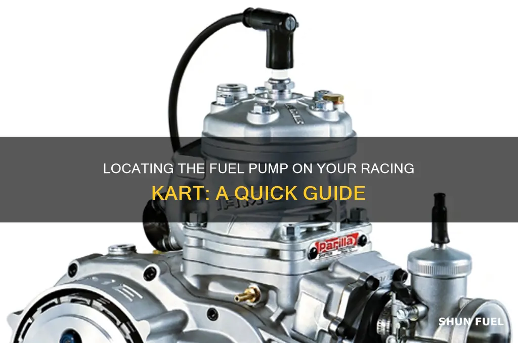 where is the fuel pump on racing kart