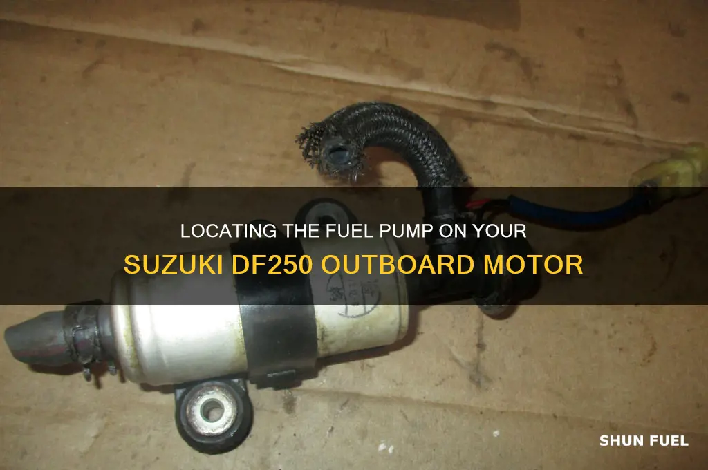 where is the fuel pump on the df250