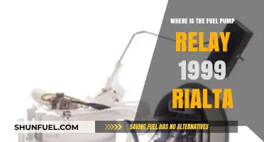 Locating the Fuel Pump Relay in a 1999 Rialta