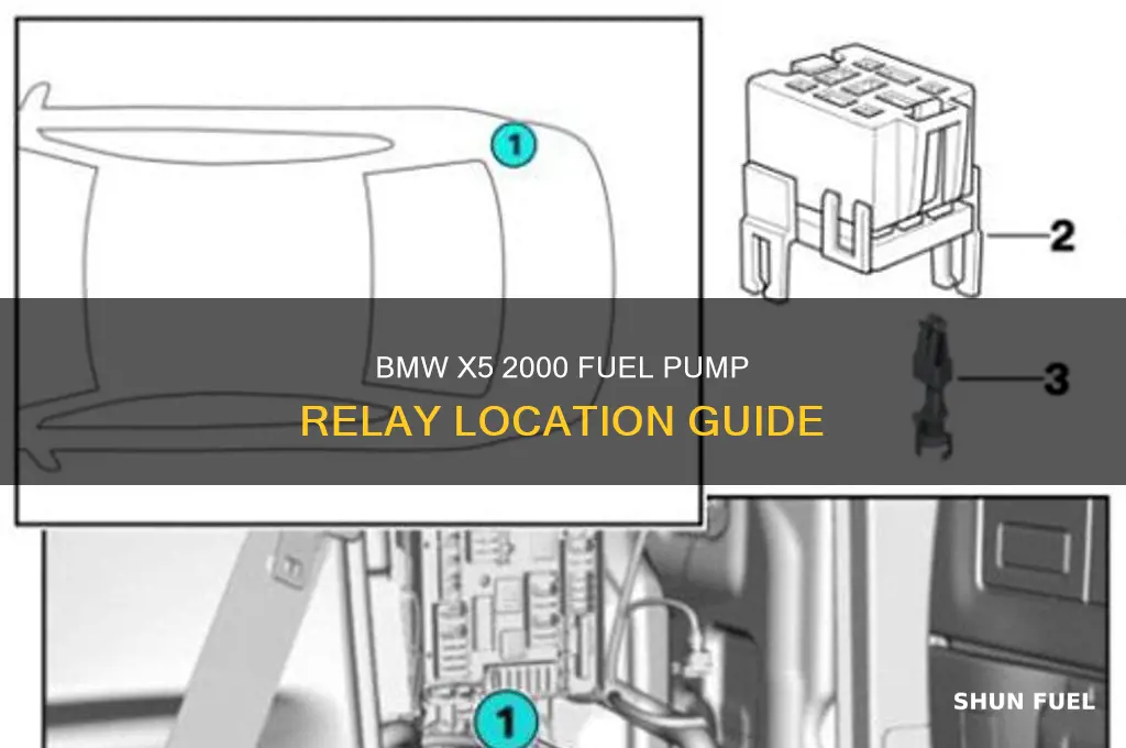 where is the fuel pump relay 2000 bmw x5