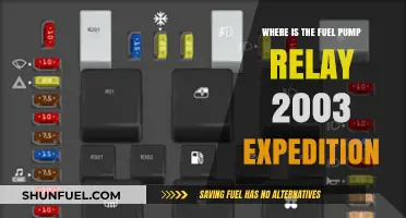 Locate the Fuel Pump Relay in Your 2003 Expedition Easily