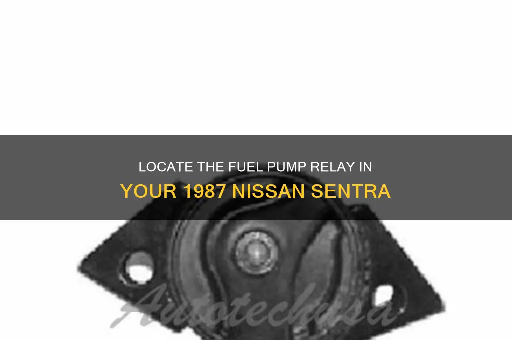 where is the fuel pump relay 87 nissan sentra
