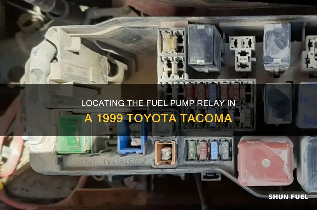 where is the fuel pump relay 99 tacoma