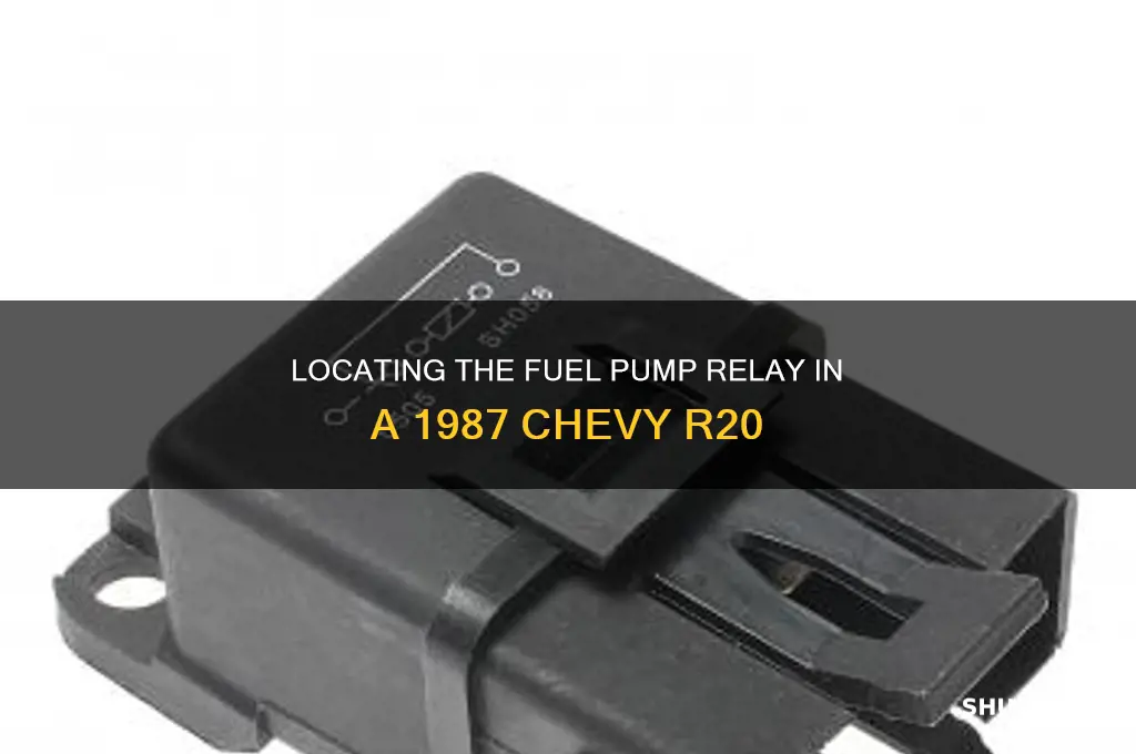 where is the fuel pump relay in an 87 r20
