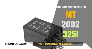 Locate the Fuel Pump Relay in Your 2002 BMW 325i