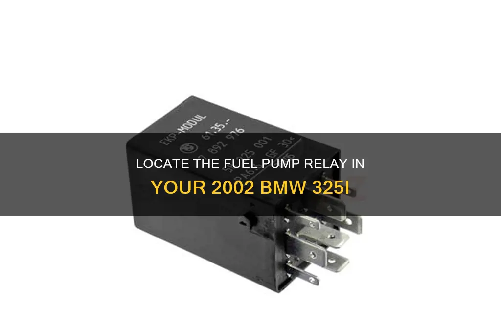 where is the fuel pump relay in my 2002 325i
