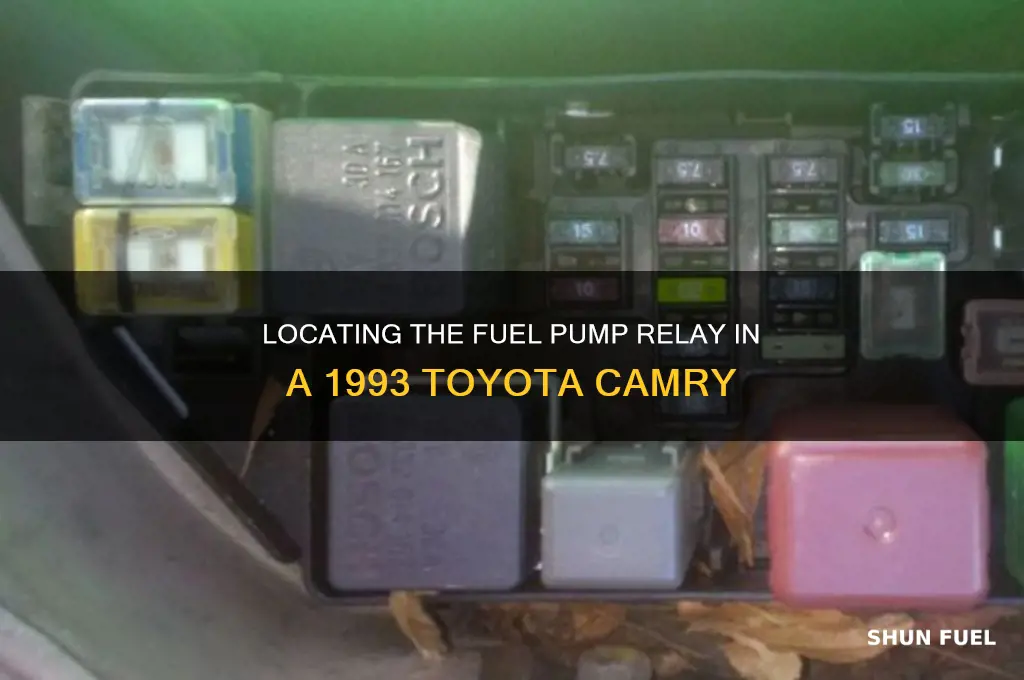 where is the fuel pump relay on 1993 toyota camry