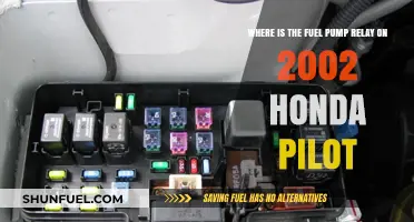 Locate the Fuel Pump Relay in Your 2002 Honda Pilot