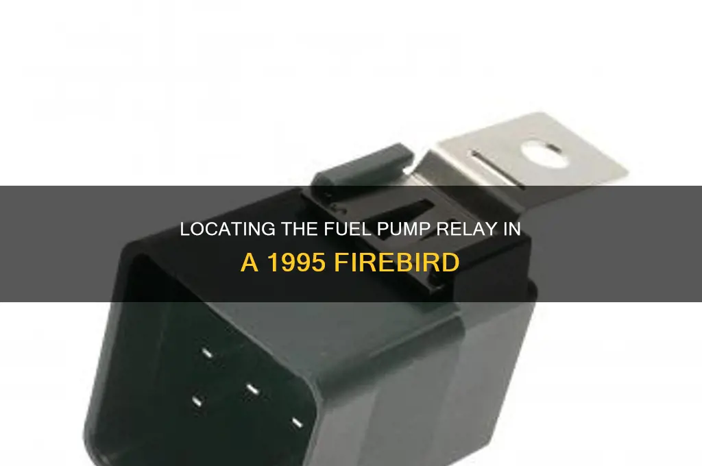 where is the fuel pump relay on 95 firebird