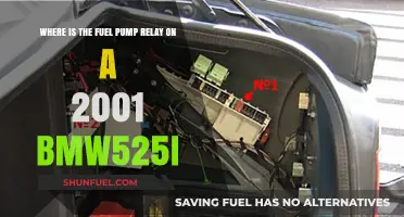 Locate the Fuel Pump Relay in Your 2001 BMW 525i