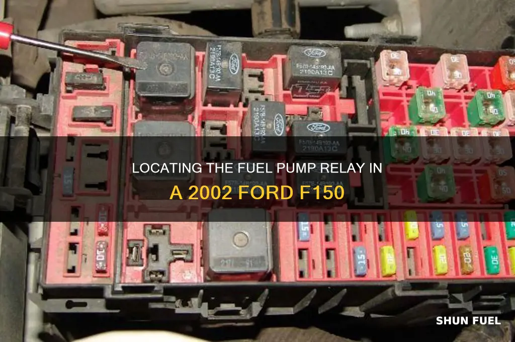 where is the fuel pump relay on a 2002 f150